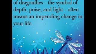 What Does a Dragonfly Symbolize Youd Be Stunned to Know [upl. by Sucramej46]