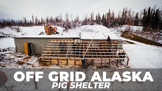 Off Grid Alaska Pig Shelters  102921 [upl. by Broome]