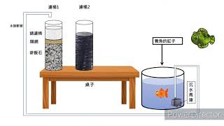 陽台 魚菜共生 DIY 種花、風水缸、觀賞魚 三合一 潮汐系統 Mini Aquaponics System at home [upl. by Auston]