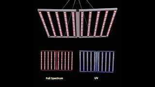 1100W UV IR Dimmable LED Grow Lights For Precise And Customizable Plant Lighting Control [upl. by Carmencita]