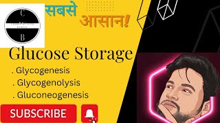 Glucose Storage  Glycogenesis  Glycogeolysis  Gluconeogenesis  inorganicchemistry uok msc [upl. by Belita]