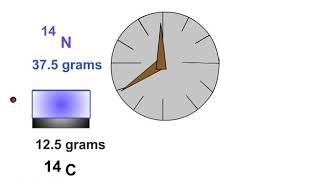 C14 Radioactive Decay Animation [upl. by Llerrut]