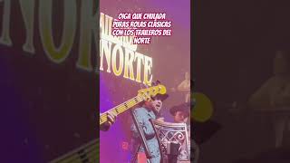 Los Traileros Del Norte shorts corridos [upl. by Pauline]