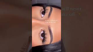 lashes youll never want to take off lashtutorial lovelashes makeup [upl. by Ocko827]