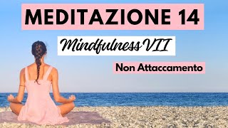 Meditazione 1421 Mindfulness 7  Non Attaccamento  Meditazione Mindfulness 10 minuti [upl. by Einahteb]