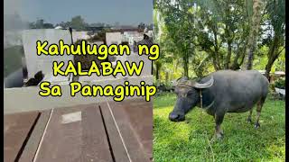 KAHULUGAN NG KALABAW SA PANAGINIP [upl. by Aynatan788]