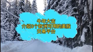 投资理财2 在欧洲买美股，用什么网上交易软件好呢 我的钱安全吗 没有美元怎么买美股 汇率手续费多吗 如果你有这些问题，不妨来了解一下。精选3个欧洲可用的网上交易软件的介绍 [upl. by Snodgrass]