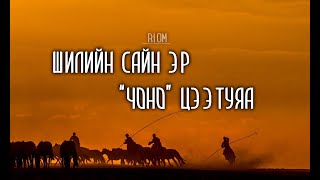 Яндан саарал морь яргай ташуурт quotЧоноquot Цээтуяа [upl. by Anerom]