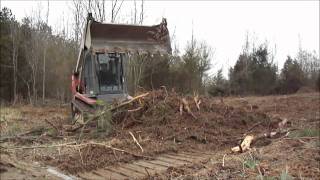 Takeuchi TL150 Skid Steer Root Raking [upl. by Taimi806]