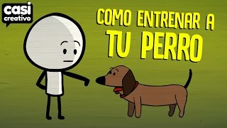 Cómo entrenar a tu perro  Casi Creativo [upl. by Yt]