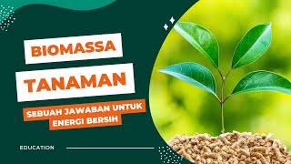 Biomassa Tanaman Sebuah Jawaban Untuk Energi Bersih [upl. by Andriana124]