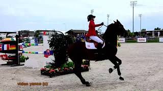 Horse show jumping falls compilation [upl. by Werda782]