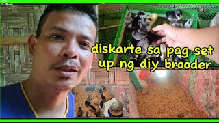 Diskarte sa pag set up ng diy broodernativechickenfarming [upl. by Kachine371]