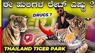 PET TIGERS💥ಇಲ್ಲಿ ಹುಲಿಗಳನ್ನ ಬೆಕ್ಕ್ ತರ ಸಾಕ್ತರೆ ಗುರು🙀EPISODE3 thailand vlog [upl. by Bostow]