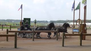 Stroud Alison USA CH M A4 Alltech FEI WEG Caen Normandy FRA 2014 Marathon O 1 06 09 2014 [upl. by Allin]