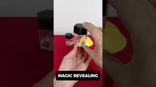 Classic Dice Magic Reveal [upl. by Cavuoto10]