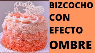 Bizcocho Sorpresa con Efecto OMBRE [upl. by Masson474]