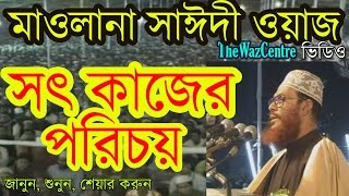 সৎ কাজের পরিচয়। Maulana Delwar Hossain Saidi Waz Video [upl. by Orson]