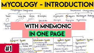 Mycology introduction  Fungi introduction with trick  fungi classification [upl. by Galvin945]