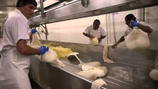 Rumiano Cheese Co NonGMO Organic Cheese  Long Format [upl. by Eintruoc]