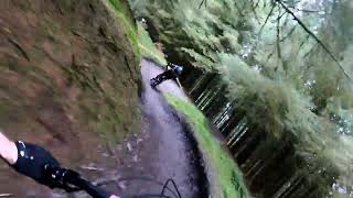 Bike Park Wales  Popty Ping following Rup [upl. by Aivonas750]