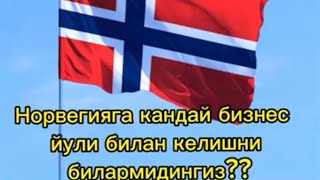 Норвегияга кандай бизнес йули билан боришни билармидингиз [upl. by Tacye937]