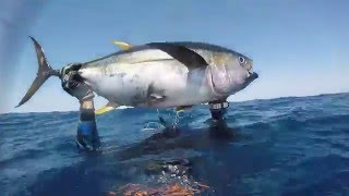 Costa Rica 2016 Surfing and Spearfishing adventure [upl. by Tychonn]