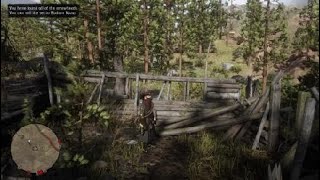 Red Dead Redemption 2 Flint Arrowhead location [upl. by Noffets286]