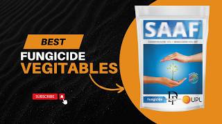 Best Fungicide for vegitables  UPL Saaf bestfungicide uplindia [upl. by Frodina93]