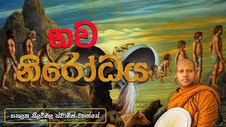 භව නිරෝධය‍  Hasalaka Seelawimala Thero [upl. by Haelam]