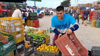 FEIRA NA CEASA DE TIANGUÁCE 692024 [upl. by Ytirahc981]