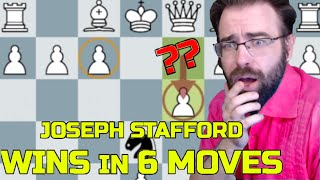 The Very First Stafford Gambit History Lesson [upl. by Ury600]