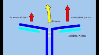 Theorie des Immunsystems Antikörper und Antigene [upl. by Hahnke851]