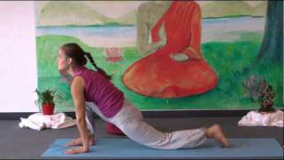 Intermediate Yoga Vidya Class 20 Minutes [upl. by Ayahsal]