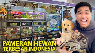 DAPET JACKPOT DI PAMERAN HEWAN TERBESAR SEINDONESIA 2024 HEWAN DISINI LENGKAP BANGET [upl. by Leddy64]