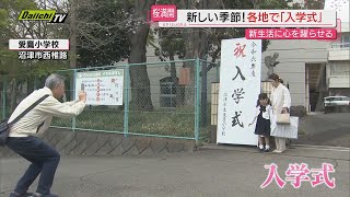 【春到来】桜見ごろ迎えるなか県内各地で入学式…静岡市は恒例「静岡まつり」スタートでにぎわう（静岡県） [upl. by Haleemaj]