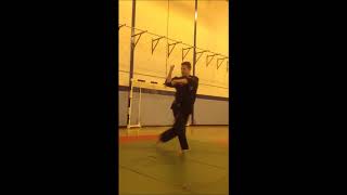 American Kenpo Karate Short Form 2 [upl. by Nailij]