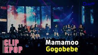 Clip Song Only  Gogobebe  Mamamoo the con [upl. by Aubarta]