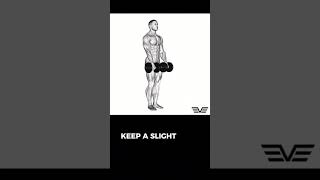 Dumbbell Stiff Leg Deadlift dumbbellstifflegdeadlift stifflegdeadlift deadlift deadlifts [upl. by Britta]