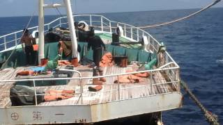 Fishing vessel vs longline ship [upl. by Novyak]