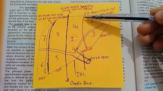 LOBES OF LIVER surgical anatomy chap32 [upl. by Radcliffe]