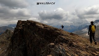 Whaleback  Isolated Peak in Yoho BC Rocky Mountains [upl. by Papp417]