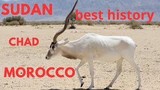 The best Addax history you have ever seen [upl. by Ahsein]