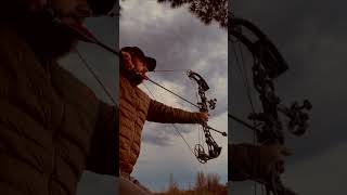 Arrowbroadhead setup in comments shorts hunting [upl. by Akima265]