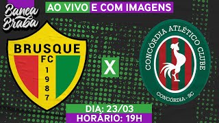 🔴 Campeonato Catarinense Brusque x Concórdia  AO VIVO E COM IMAGENS [upl. by Eelarol]