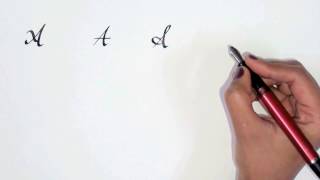 Alphabet  A  Calligraphy 101 [upl. by Aicilev210]