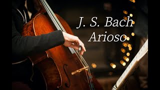 1HRㅣ J S Bach AriosoㅣCello MusicㅣDeep SleepㅣRelaxingㅣPeacfulㅣClassical CelloㅣHealing Music [upl. by Lapointe170]