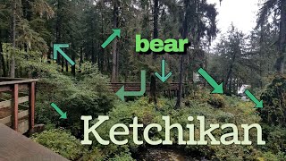 Ketchikan Alaska  Bears bears bears Our favorite excursion of the cruise  Part 4 [upl. by Noicpesnoc383]