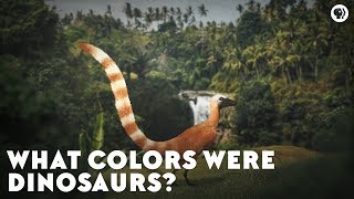 What Colors Were Dinosaurs [upl. by Schuh523]