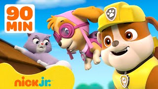 PAW Patrol  ¡PAW Patrol ayuda a los animales de Bahía Avenutras  Nick Jr en Español [upl. by Meeharb691]